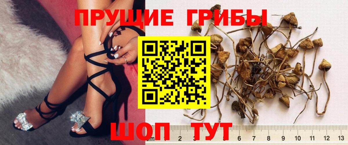 Псилоцибиновые грибы MAGIC MUSHROOMS Краснотурьинск